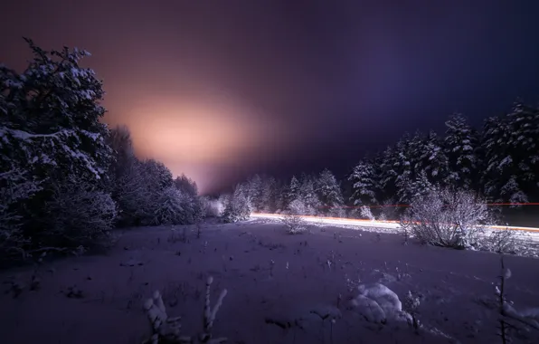 Картинка зима, небо, снег, деревья, ночь, коростышев, фотограф Чорный александр