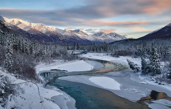 Картинка лед, зима, лес, небо, облака, снег, деревья, пейзаж