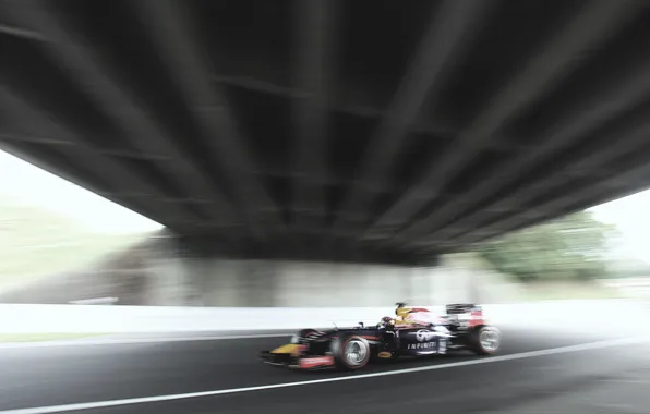 Гонщик, Formula 1, Sebastian Vettel, Чемпион