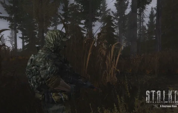 Лес, оружие, игра, болото, game, forest, сталкер, S.T.A.L.K.E.R.