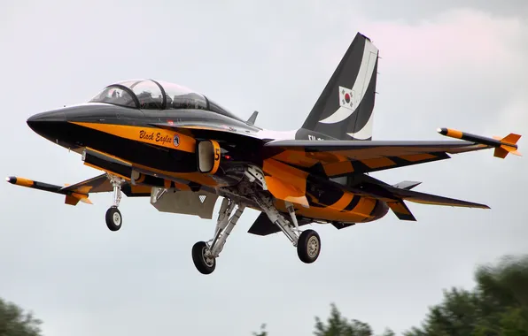 Картинка самолёт, реактивный, Golden Eagle, двухместный, сверхзвуковой, учебно-боевой, T-50