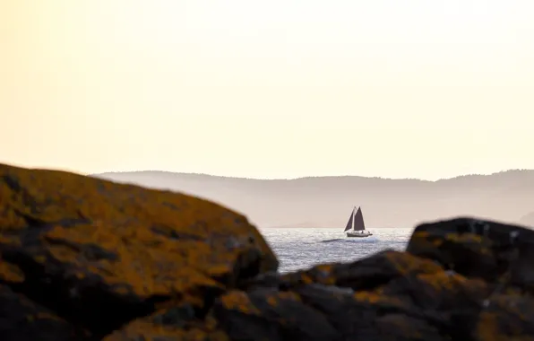 Waves, sea, rocks, boat, sailing, sail