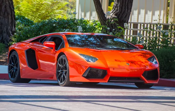 Картинка lamborghini, orange, aventador, lp700-4