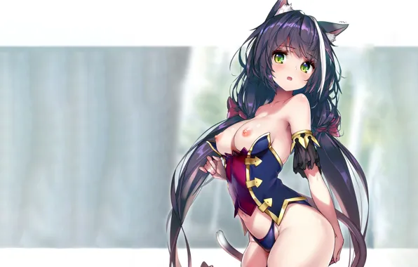 Girl, sexy, lingerie, cleavage, blouse, panties, thighhighs, long hair