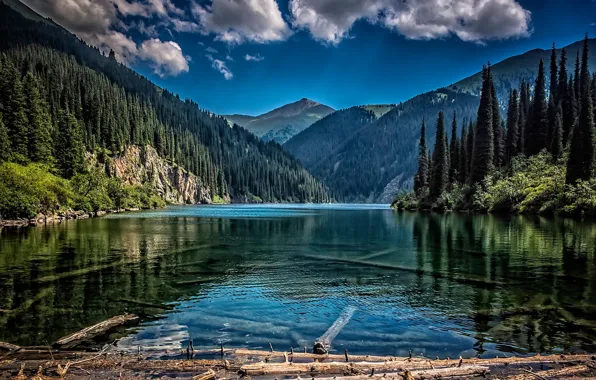 Картинка лес, горы, озеро, Казахстан, Озеро Кольсай, Kazakhstan, Тянь-Шань, Middle Kolsai Lake