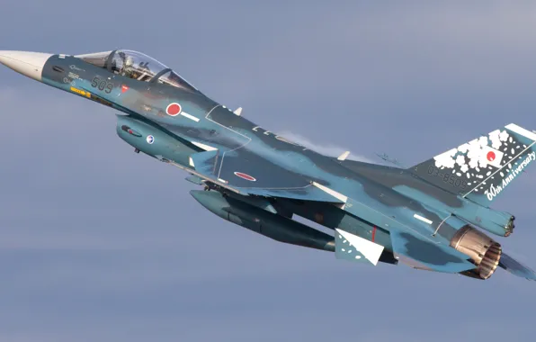 Япония, Japan, F-16, Воздушные силы самообороны Японии, Mitsubishi F-2, Mitsubishi Heavy Industries, Силы самообороны Японии