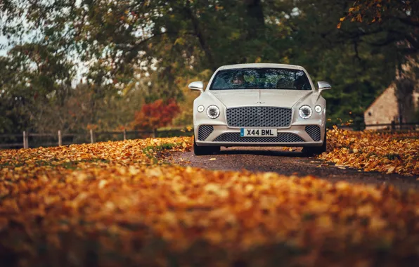 Bentley, Continental, Light, Front, White, Autumn, Mulliner