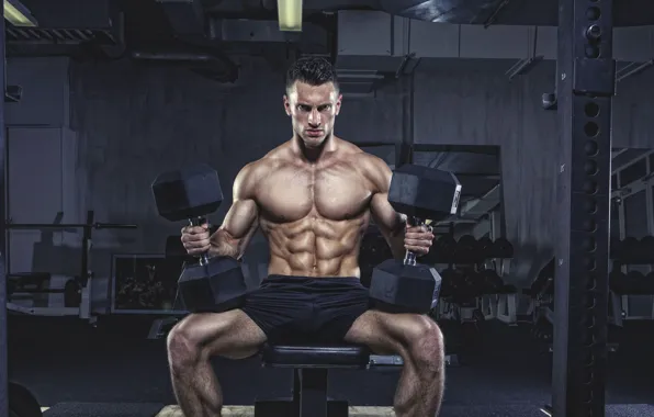Muscle, мышцы, пресс, pose, гантели, gym, бодибилдер, abs