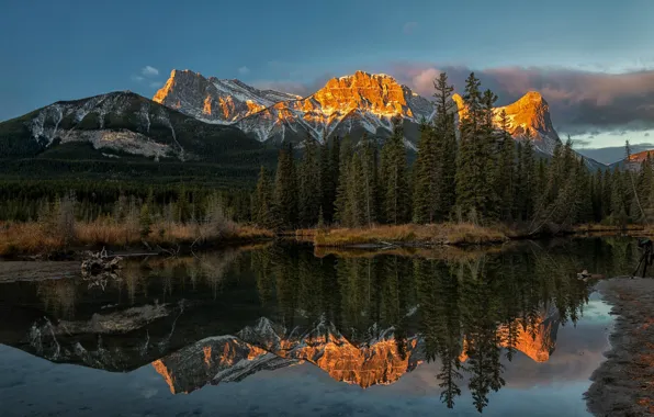 Картинка лес, горы, отражение, река, Канада, Альберта, Alberta, Canada