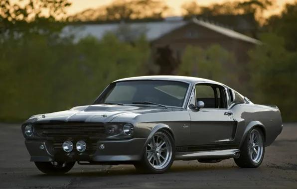 Gt 500, форд, eleanor, ford shelby
