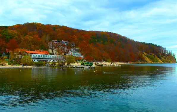 Sea, lake, island