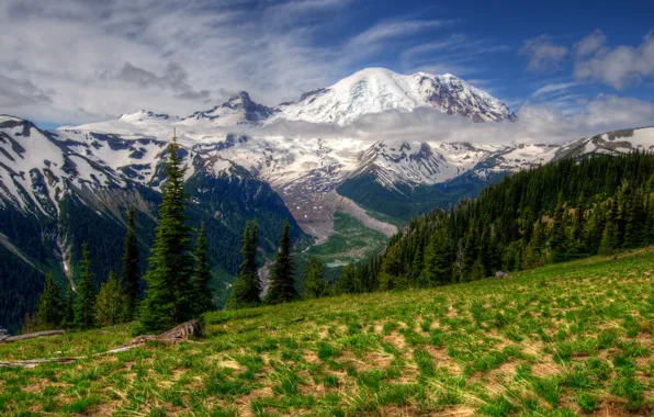 Картинка трава, пейзаж, горы, природа, парк, HDR, Вашингтон, Mt Rainier