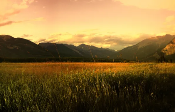Картинка поле, горы, восход