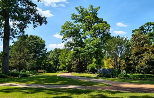 Park, spring, Fred Fletcher Park, Jim Perry