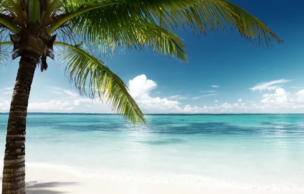 Картинка песок, море, пляж, солнце, пальмы, берег, остров, summer