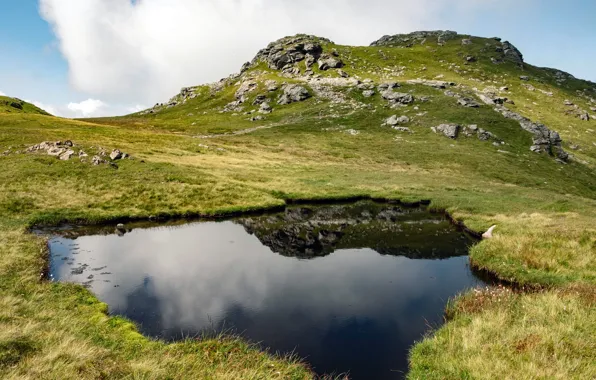 Картинка вода, отражение, зеленая трава, холм, water, hill, reflection, green grass