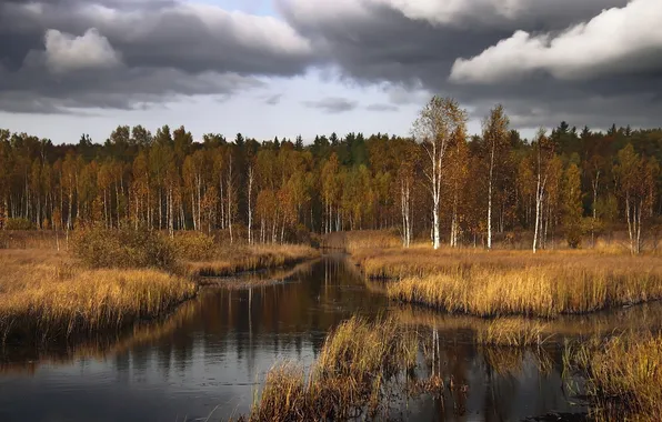 Картинка осень, лес, пейзаж, природа, озеро