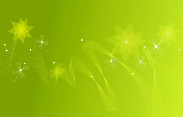 Свет, линии, цветы, краски, лепестки