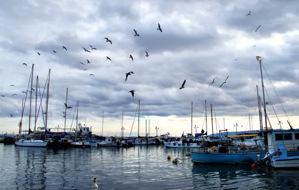 Картинка море, небо, облака, птицы, Порт, sky, sea, clouds