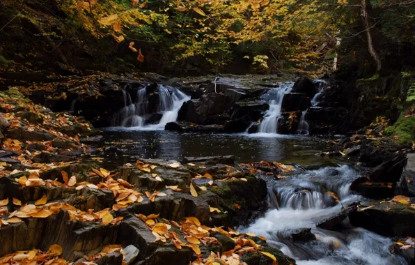 Осень, лес, листья, река, Канада, Canada, каскад, Nigadoo river