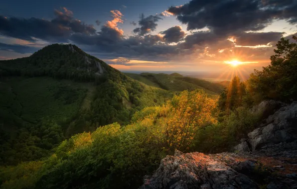 Картинка солнце, облака, лучи, пейзаж, закат, горы, природа, леса