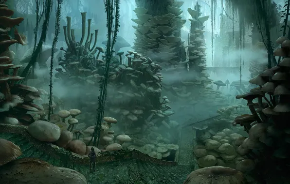 Дорога, грибы, сооружение, ступени, Ancient forest