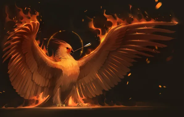Огонь, птица, крылья, арт, стрела, феникс, phoenix