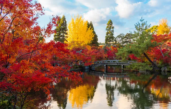Осень, листья, деревья, природа, пруд, парк, Япония, сад