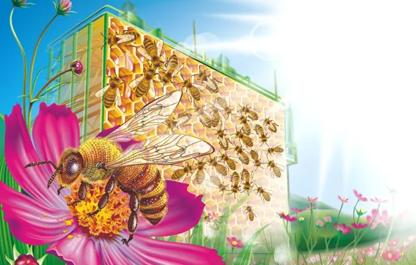 Картинка цветы, пчела, соты