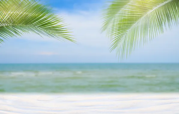 Песок, море, пляж, лето, небо, пальмы, summer, beach