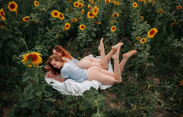 Поле, подсолнухи, цветы, девушки, отдых