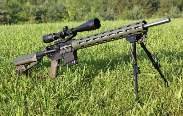 Картинка трава, оптика, снайперский вариант, модификация, сошка, Varmint Ar-15