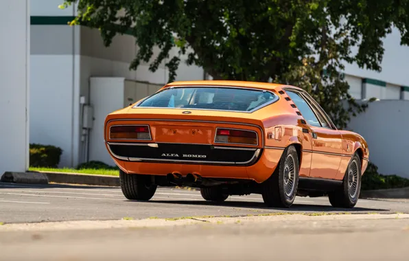 Картинка Alfa Romeo, orange, 1972, Montreal, Alfa Romeo Montreal