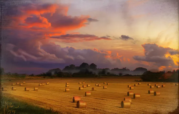 Картинка поле, небо, урожай, собран