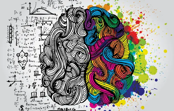 Картинка brain, logical part, creative part