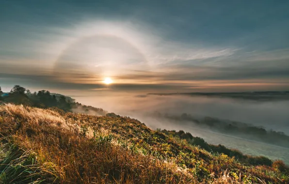 Halo, Lithuania, Kaunas, Netoniai