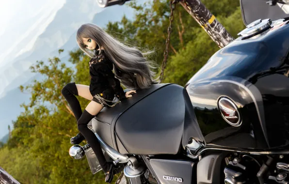 Игрушка, кукла, мотоцикл, Honda CB1100