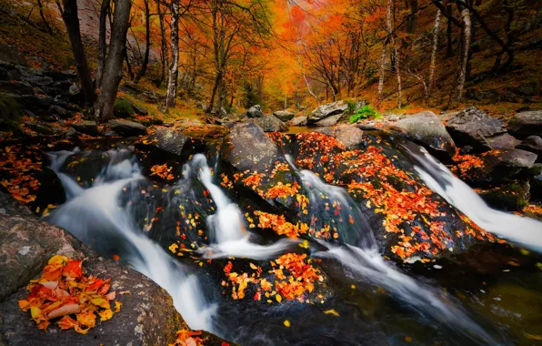 Осень, лес, камни, листва, водопад, осенние листья