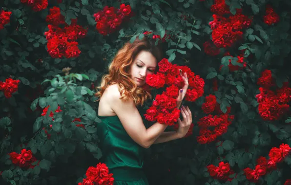 Картинка девушка, цветы, поза, настроение, розы, руки, Натали