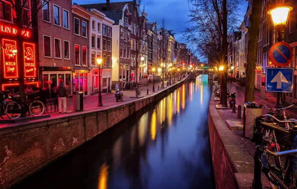 Деревья, город, улица, дома, вечер, освещение, Амстердам, фонари