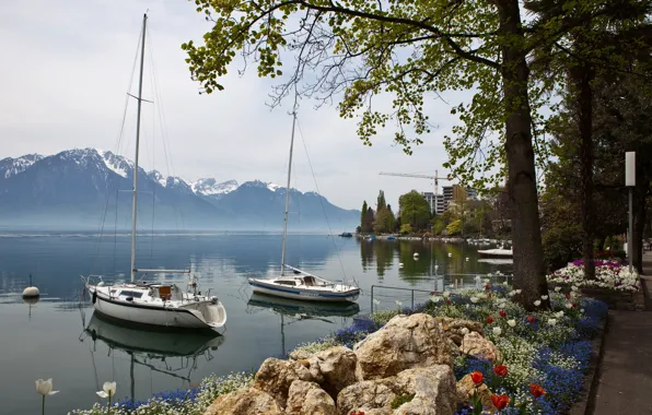 Картинка пейзаж, горы, природа, побережье, яхта, Швейцария, Montreux, парусные