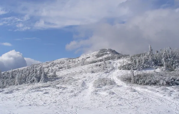 Картинка зима, снег, природа, фото, гора, Польша
