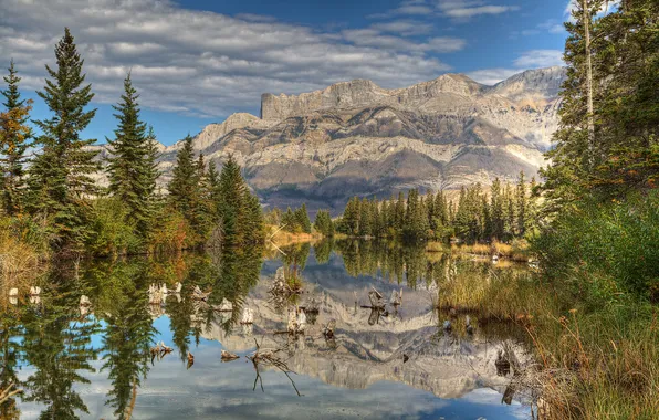 Деревья, горы, озеро, парк, отражение, Jasper, Alberta, Canada