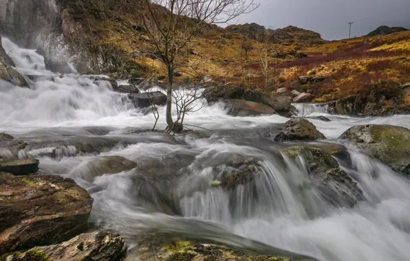 Горы, камни, дерево, скалы, водопад, каскад, Уэльс