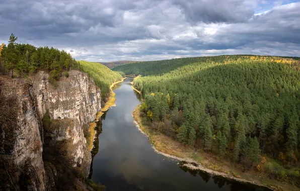 Forest, river, landscape, nature, water, autumn, beauty, travel