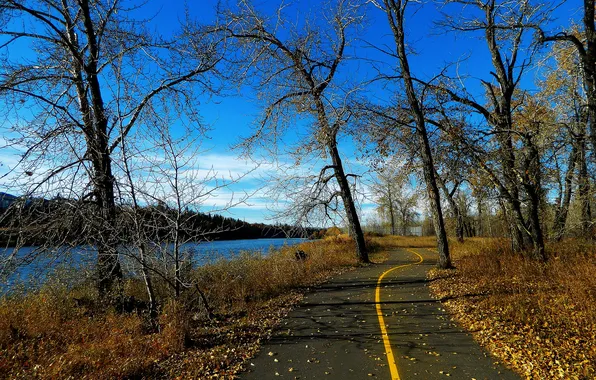 Картинка дорога, осень, деревья, пейзаж, природа, река, фото