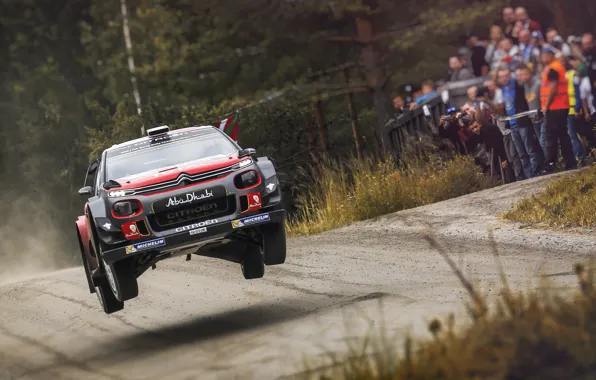 Авто, Лес, Спорт, Машина, Скорость, Гонка, Ситроен, Citroen