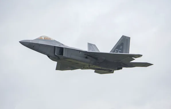 Полёт, самолёт, серое небо, F-22A