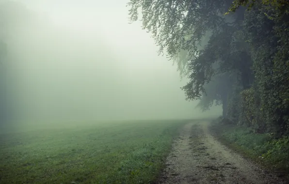 Дорога, поле, природа, туман, утро