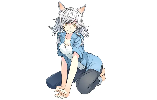 Девушка, неко, ушки, Bakemonogatari